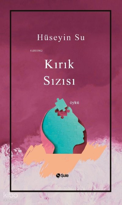 Kırık Sızısı - Hüseyin Su