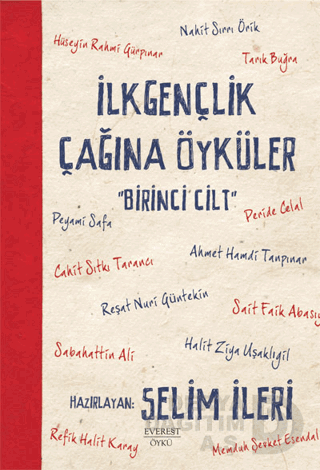 İLKGENÇLİK ÇAĞINA ÖYKÜLER 1