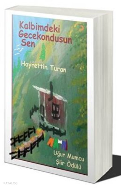Kalbimdeki Gecekondusun Sen - Hayrettin Turan