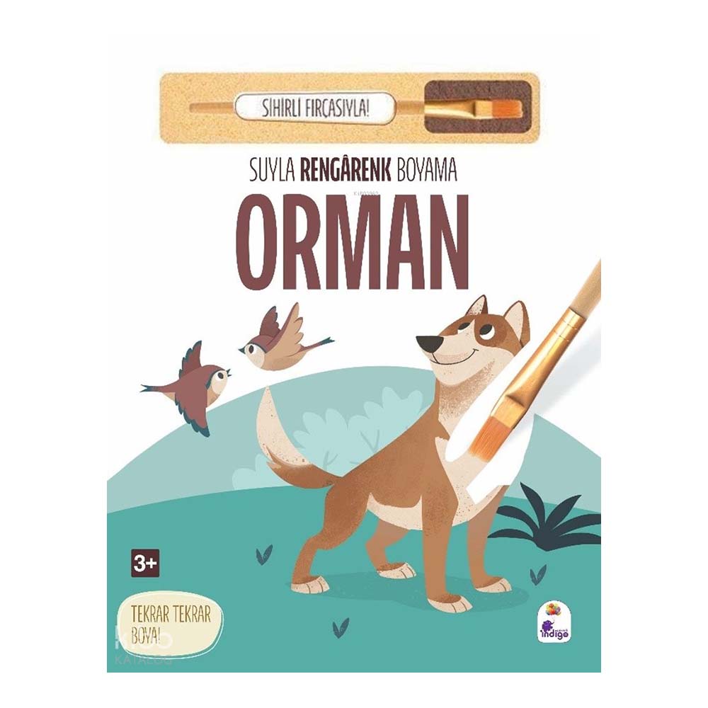 SUYLA RENGARENK BOYAMA - ORMAN