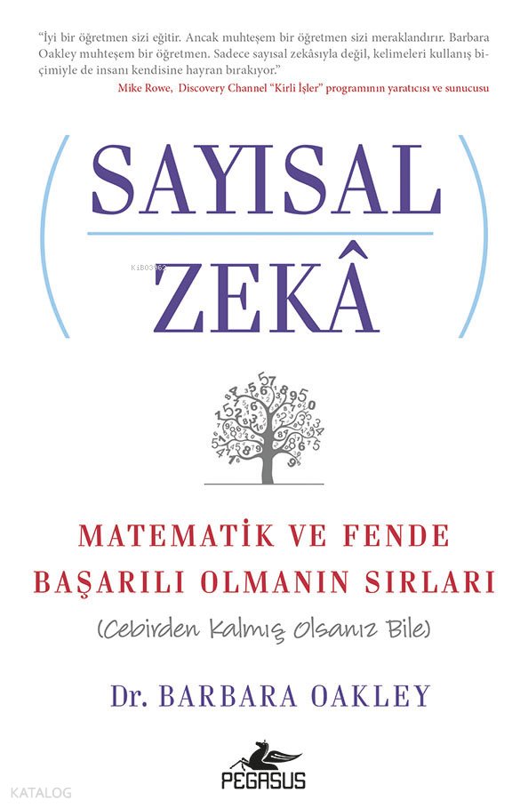 Sayısal Zeka: Matematik ve Fende Başarılı Olmanın Sırları
