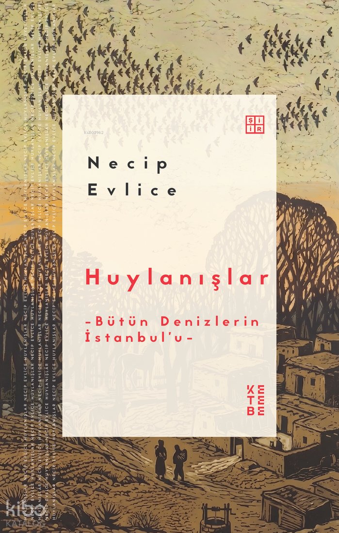 Huylanışlar - Necip Evlice