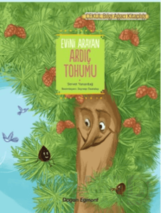 EVİNİ ARAYAN ARDIÇ TOHUMU - KÜÇÜK
