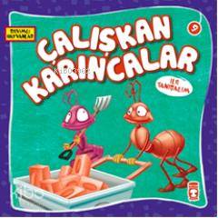 Çalışkan Karıncalar ile Tanışalım