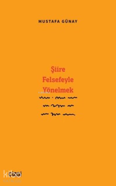 Şiire Felsefeyle Yönelmek - Mustafa Günay