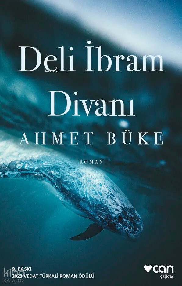 Deli İbram Divanı - Ahmet Büke