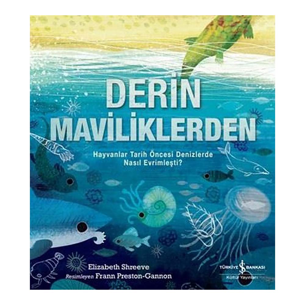DERİN MAVİLİKLERDEN