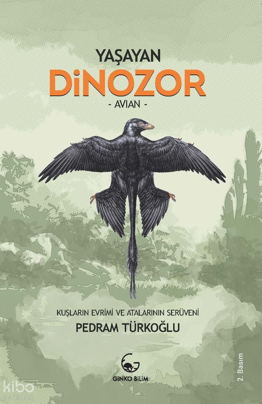 Yaşayan Dinozor - Avian - Pedram Türkoğlu