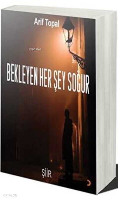 Bekleyen Her Şey Soğur - Arif Topal