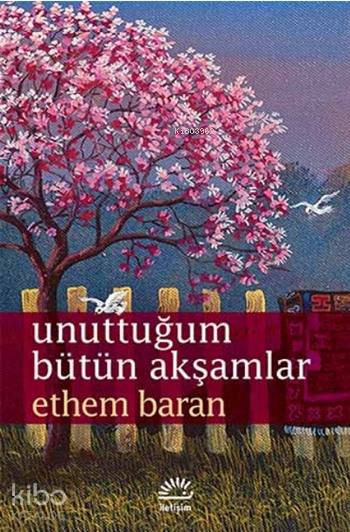 Unuttuğum Bütün Akşamlar - Ethem Baran