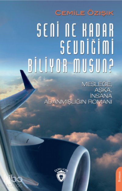 Seni Ne Kadar Sevdiğimi Biliyor musun?