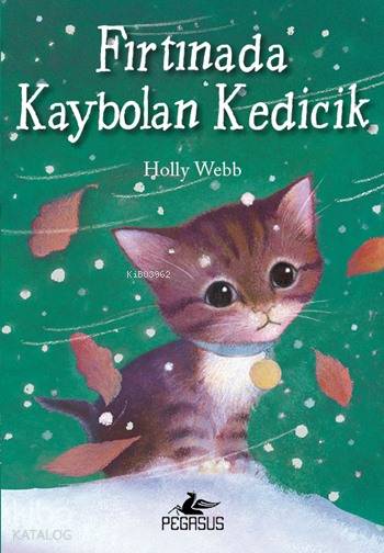 Fırtınada Kaybolan Kedicik - Holly Webb