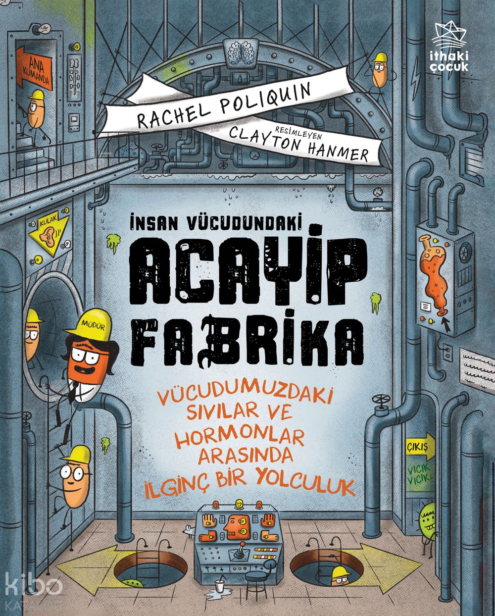 İnsan Vücudundaki Acayip Fabrika