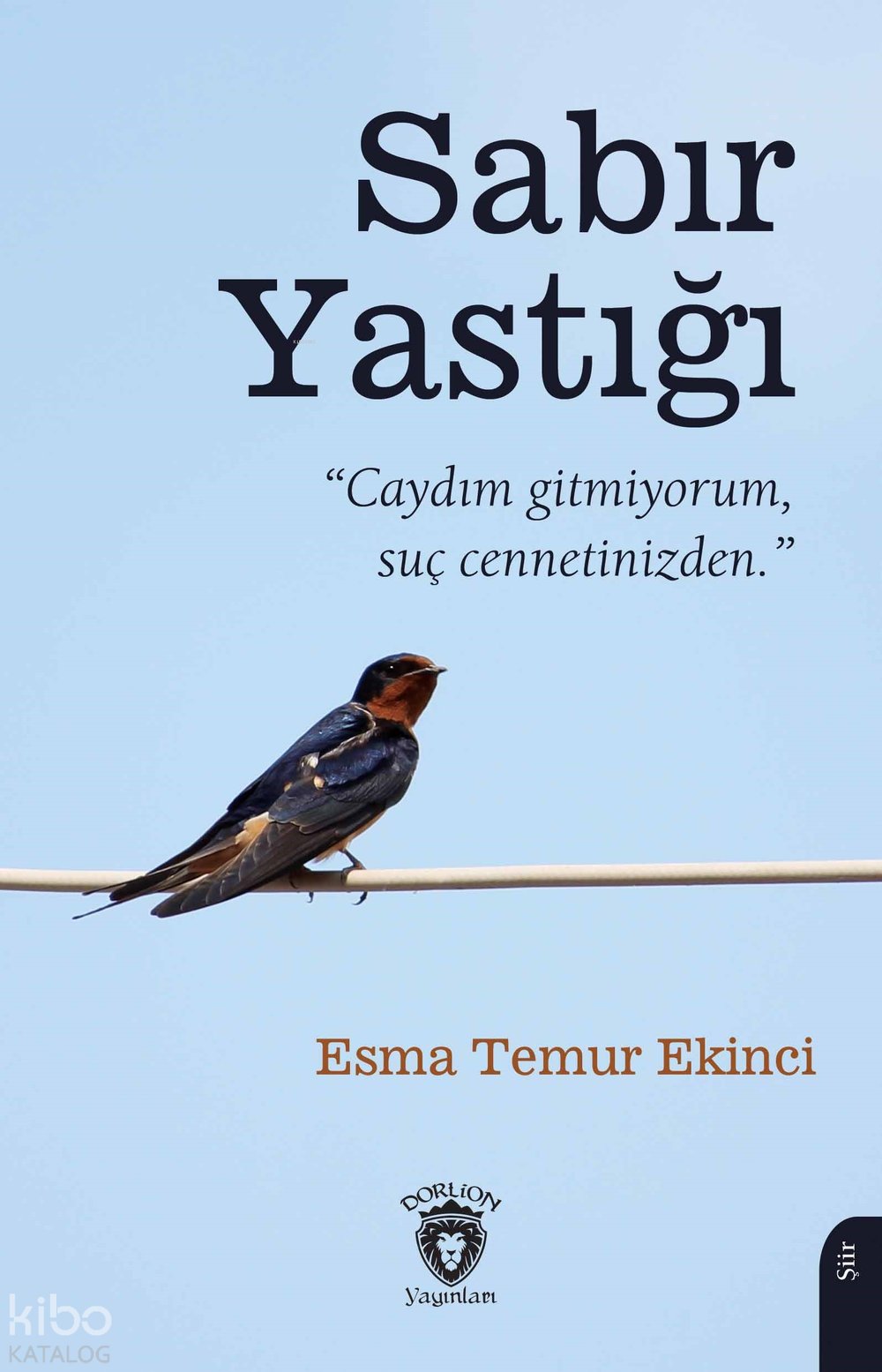 Sabır Yastığı - Esma Temur Ekinci