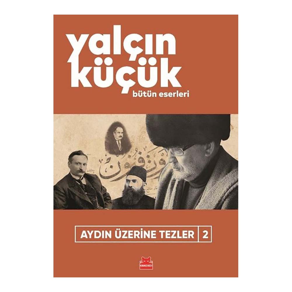 AYDIN ÜZERİNE TEZLER - 2