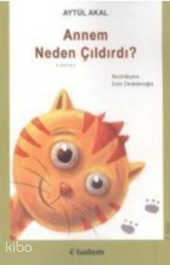 Annem Neden Çıldırdı? - Aytül Akal