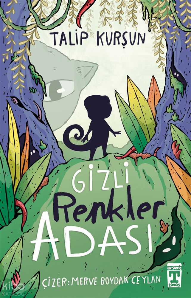 GİZLİ RENKLER ADASI