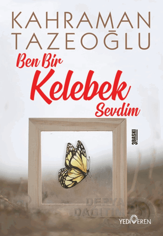BEN BİR KELEBEK SEVDİM