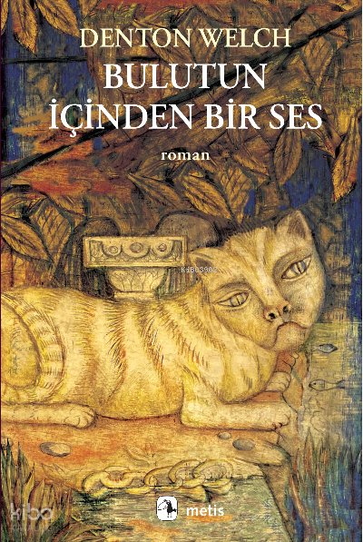 Bulutun İçinden Bir Ses