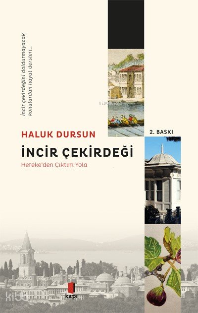 İncir Çekirdeği - Haluk Dursun