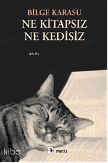 Ne Kitapsız Ne Kedisiz - Bilge Karasu