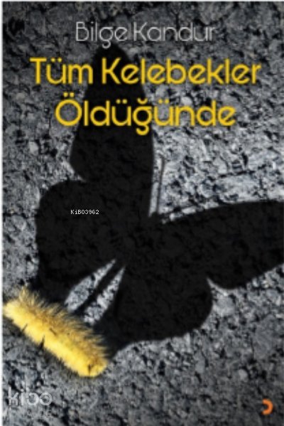 Tüm Kelebekler Öldüğünde - Bilge Kandur