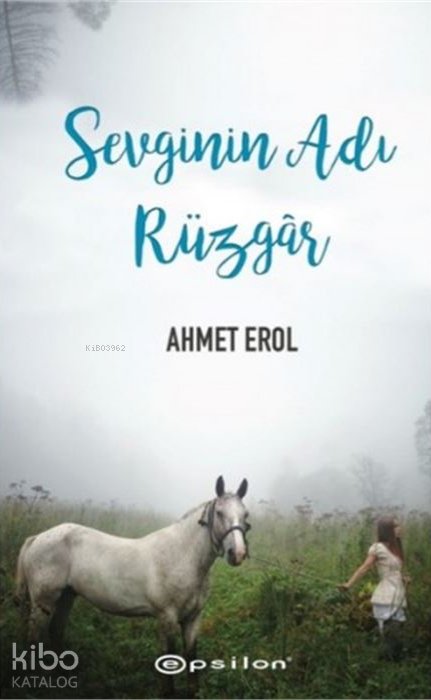 Sevginin Adı Rüzgâr - Ahmet Erol