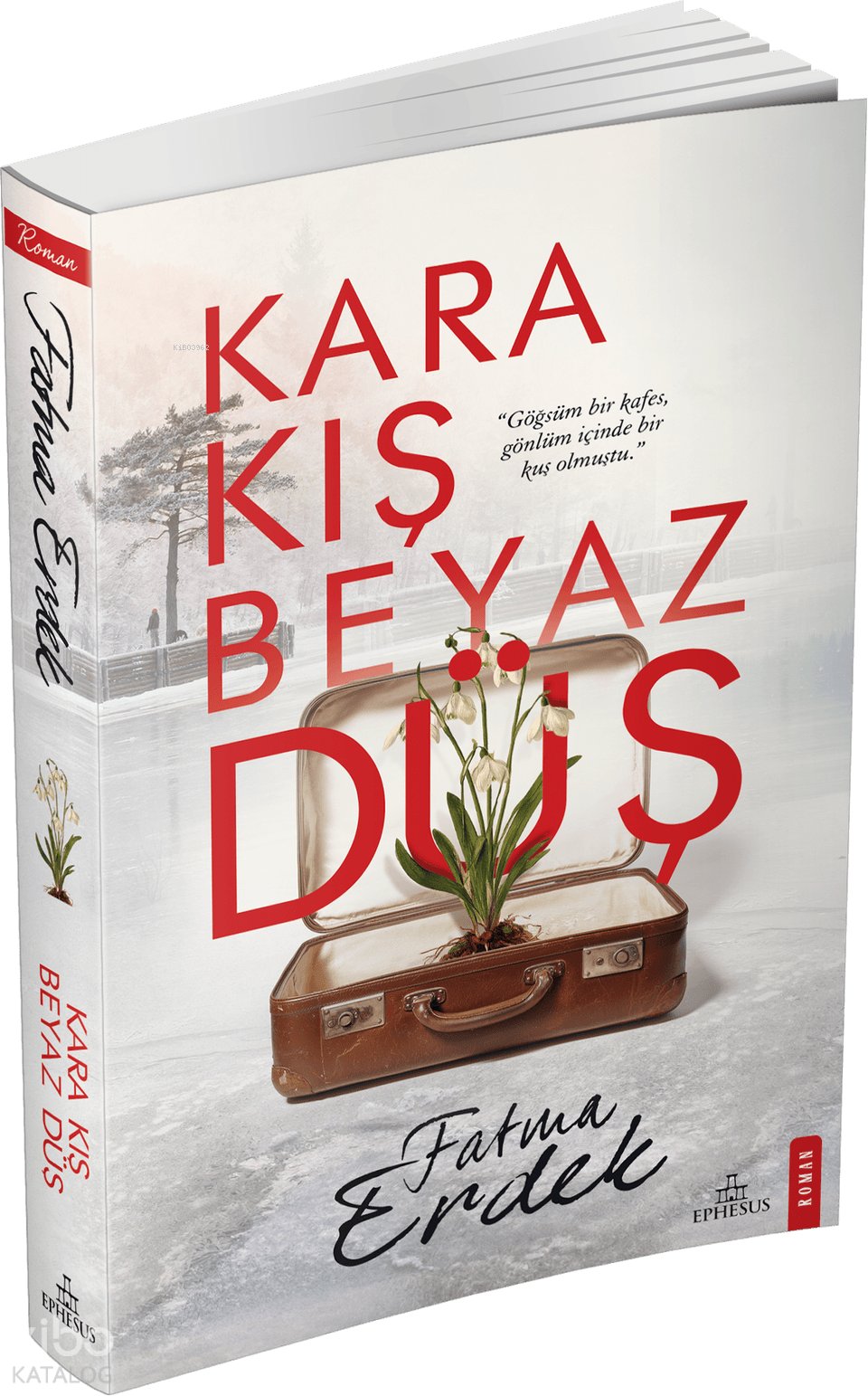 Kara Kış Beyaz Düş - Fatma Erdek