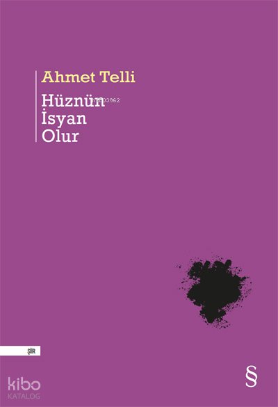 Hüznün İsyan Olur - Ahmet Telli