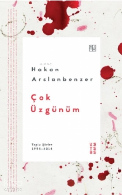 Çok Üzgünüm - Hakan Arslanbenzer
