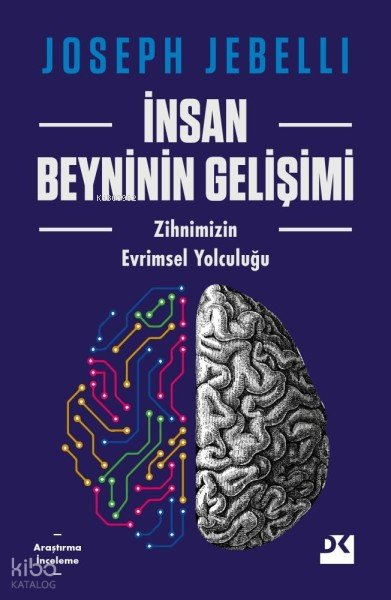 İnsan Beyninin Gelişimi