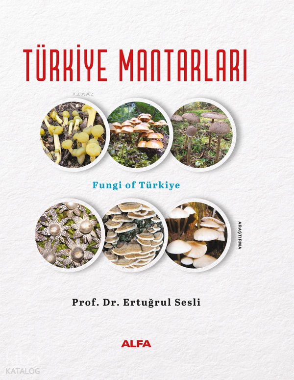 Türkiye Mantarları