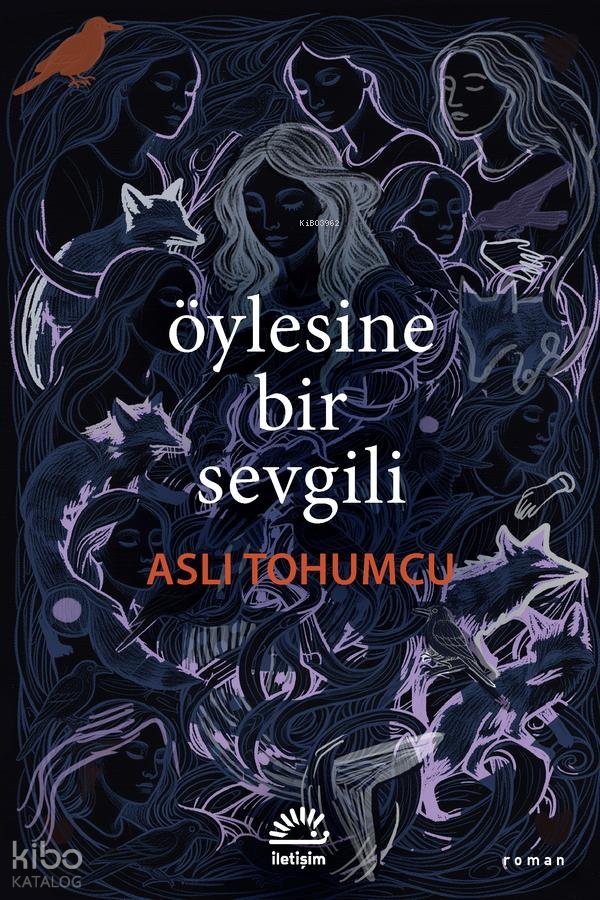 Öylesine Bir Sevgili - Aslı Tohumcu