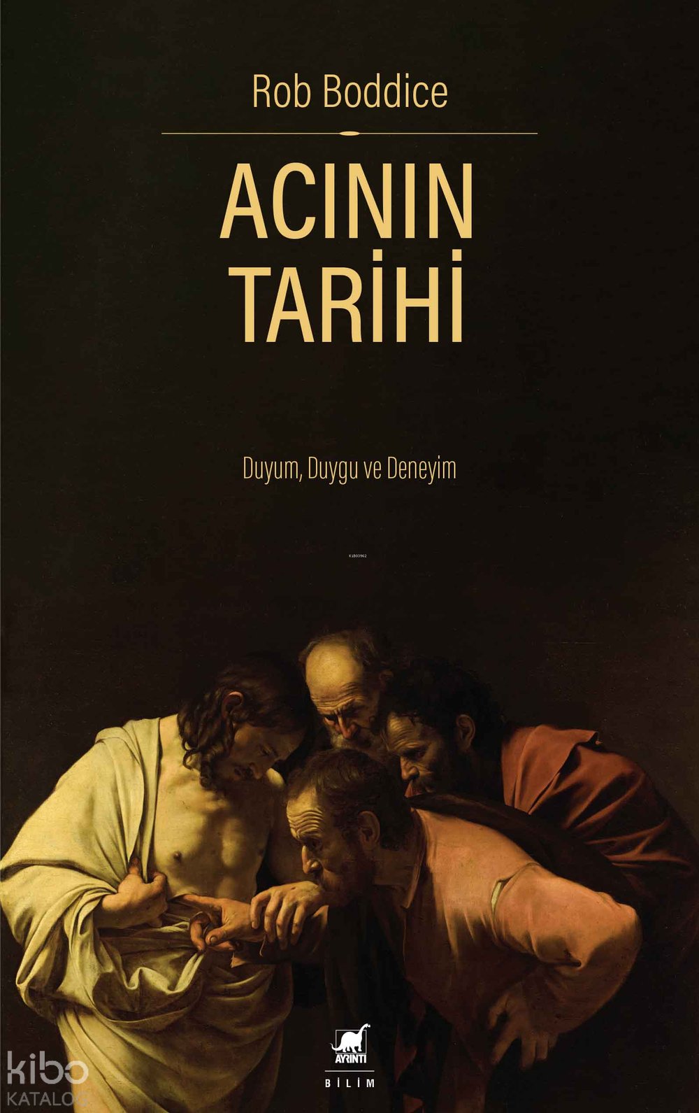 Acının Tarihi - Rob Boddice