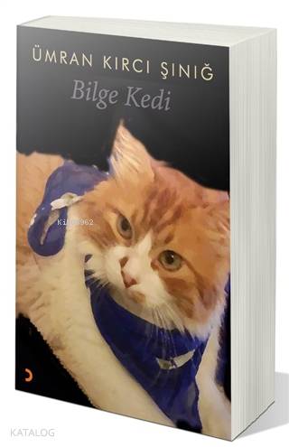 Bilge Kedi - Ümran Kırcı Şınığ
