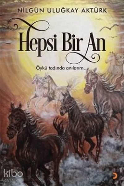 Hepsi Bir An - Nilgün Uluğkay Aktürk