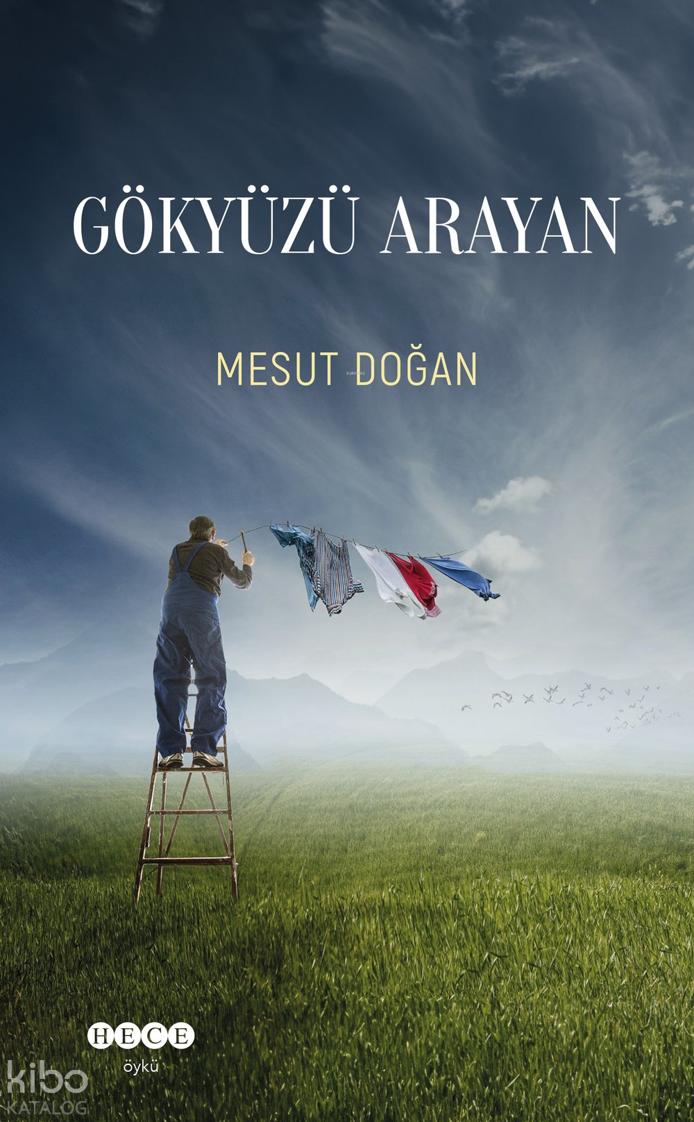 Gökyüzü Arayan