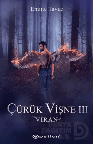 ÇÜRÜK VİŞNE III -VİRAN / EMİNE YAVUZ