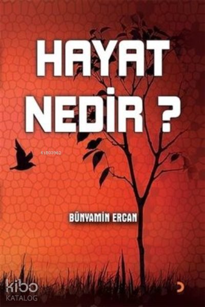 Hayat Nedir? - Bünyamin Ercan