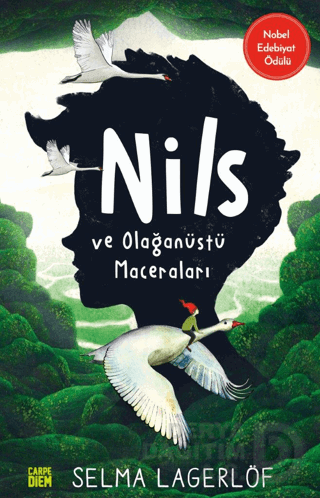 NİLS VE OLAĞANÜSTÜ MACERALARI