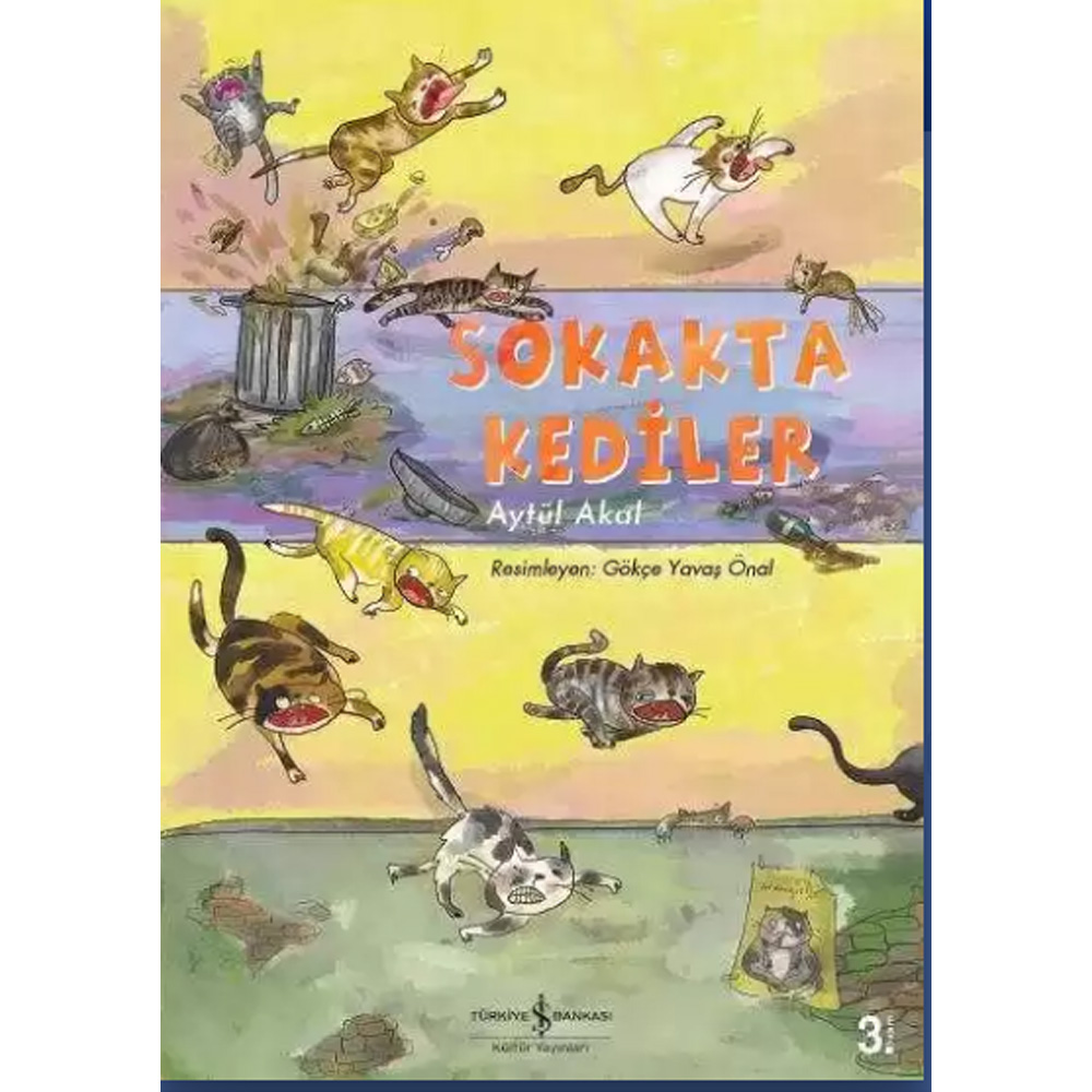 SOKAKTA KEDİLER / AYTÜL AKAL