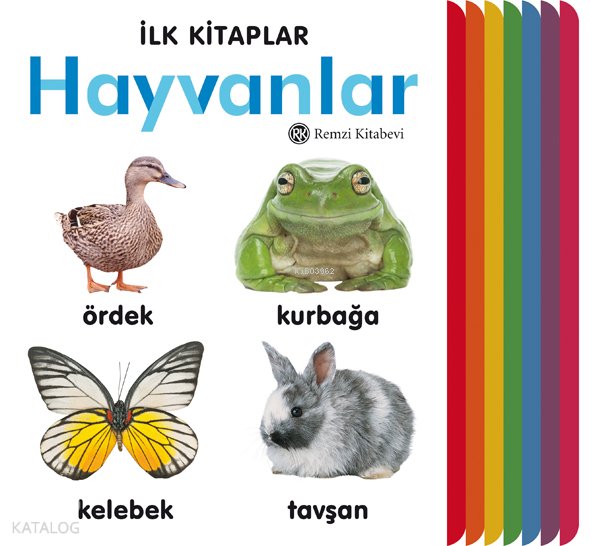 İlk Kitaplar - Hayvanlar (Ciltli)
