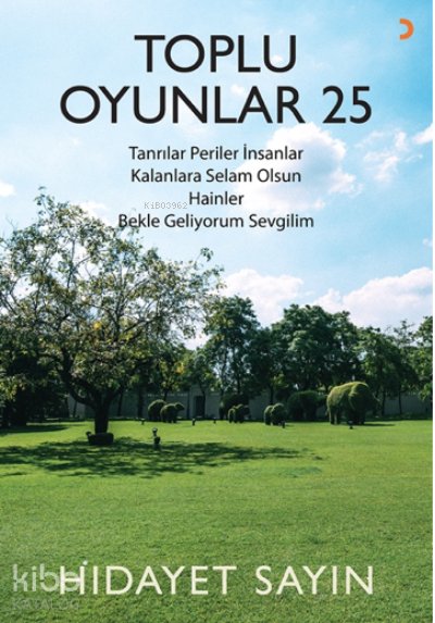 Toplu Oyunlar 25