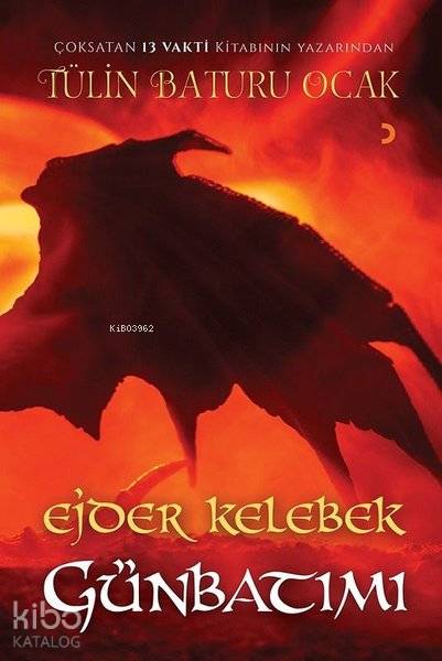 Ejder Kelebek Günbatımı - Tülin Baturu Ocak