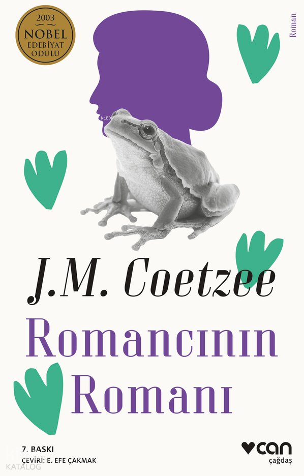 Romancının Romanı - John Maxwell Coetzee