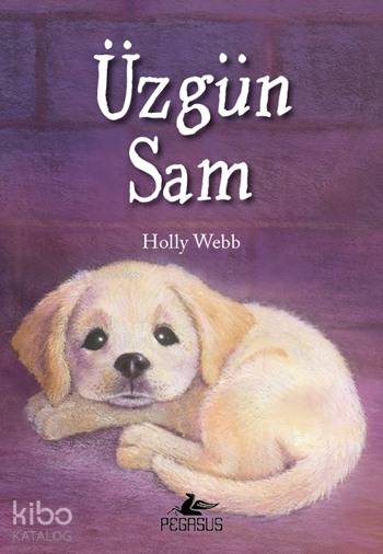 Üzgün Sam - Holly Webb