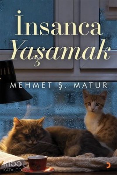 İnsanca Yaşamak