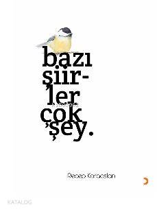 Bazı Şiirler Çok Şey - Recep Karaaslan