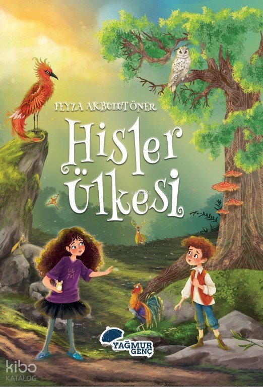 Hisler Ülkesi - Feyza Akbulut Öner