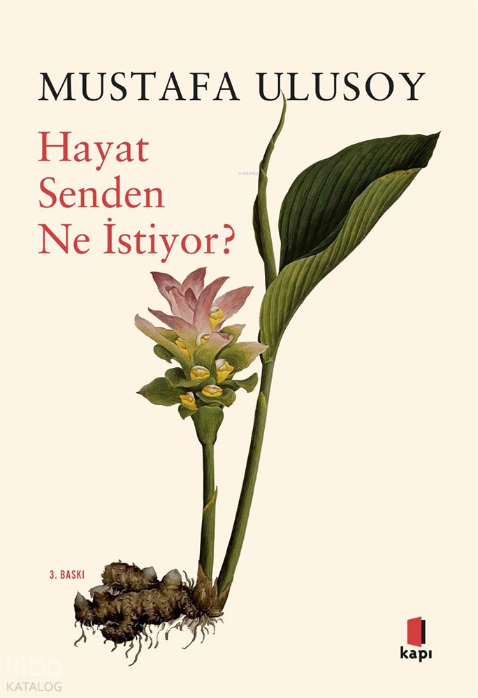 HAYAT SENDEN NE İSTİYOR